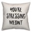 You're Stressing Meowt Pillow Cover
