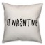 It Wasn't Me Pillow