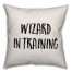 Wizard In Training Pillow