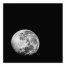 Black and White Moonrise 30x30 Canvas Wall Art