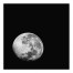 Black and White Moonrise 36x36 Canvas Wall Art
