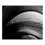 Black and White Snake Skin Texture 20x24 Canvas Wall Art