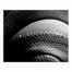 Black and White Snake Skin Texture 24x30 Canvas Wall Art