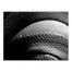 Black and White Snake Skin Texture 30x40 Canvas Wall Art