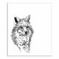 Fox Sketch 20x24 Canvas Wall Art
