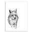 Fox Sketch 30x40 Canvas Wall Art