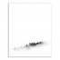 Black and White Foggy Trees 24x30 Canvas Wall Art
