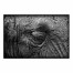 Elephant Skin Texture 24x36 Canvas Wall Art