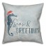 Seas and Greetings 18x18 Spun Poly Pillow