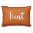 Treat in Orange 14x20 Spun Poly Pillow
