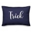 Trick in Navy 14x20 Spun Poly Pillow
