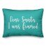 Dear Santa, I Was Framed in Teal 14x20 Spun Poly Pillow