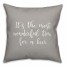 It's The Most Wonderful Time For A Beer in Gray 18x18 Spun Poly Pillow