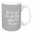 The Tree Isn’t The Only Thing Getting Lit This Year in Gray 15 oz Mug