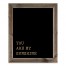 Monochromatic You Are My Sunshine 20x16 Framed Wood Print