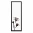 Transparent Black and White Rose Wall Art