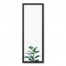 Fig Tree Wall Art