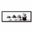 Black and White Succulents Wall Art