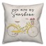You are my Sunshine Pillow