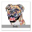 Personalized Watercolor Boxer Wall Art