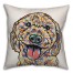 Watercolor Doodle Pillow