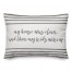 My House Was Clean Pillow