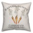 Easter Bunny Carrot Co Pillow