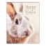 Hoppy Easter Wall Art
