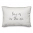 Love Is In The Air  Pillow