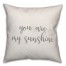 You Are My Sunshine 16x16 Spun Poly Pillow Cover