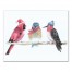 Holiday Birds 11x14 Canvas Wall Art