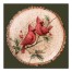 Cardinal Couple 16x16 Canvas Wall Art