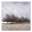 Tranquil Trees Canvas Wall Art