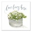 Love lives here Canvas Wall Art