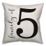 Script Family of Five 18x18 Indoor / Outdoor Pillow