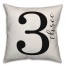 Script Three 18x18 Indoor / Outdoor Pillow