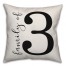Script Family of Three 18x18 Indoor / Outdoor Pillow