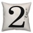 Script Two 18x18 Indoor / Outdoor Pillow
