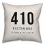 Baltimore Coordinates 18x18 Indoor / Outdoor Pillow