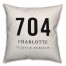Charlotte Coordinates 18x18 Indoor / Outdoor Pillow