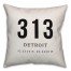 Detroit Coordinates 18x18 Indoor / Outdoor Pillow