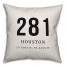 Houston Coordinates 18x18 Indoor / Outdoor Pillow