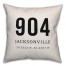 Jacksonville Coordinates 18x18 Indoor / Outdoor Pillow