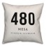 Mesa Coordinates 18x18 Indoor / Outdoor Pillow