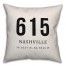 Nashville Coordinates 18x18 Indoor / Outdoor Pillow