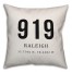 Raleigh Coordinates 18x18 Indoor / Outdoor Pillow