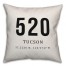 Tucson Coordinates 18x18 Indoor / Outdoor Pillow