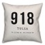 Tulsa Coordinates 18x18 Indoor / Outdoor Pillow