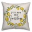 You Are My Sunshine 18x18 Indoor / Outdoor Pillow