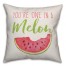 You're one in a melon 18x18 Indoor / Outdoor Pillow
